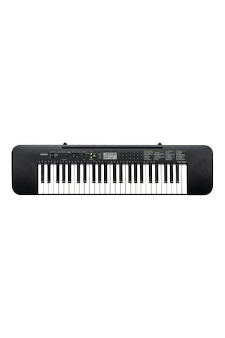 Casio CTK-240 Org