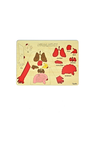 Ahşap Organlarımız Bultak Puzzle Eğitici Oyuncak