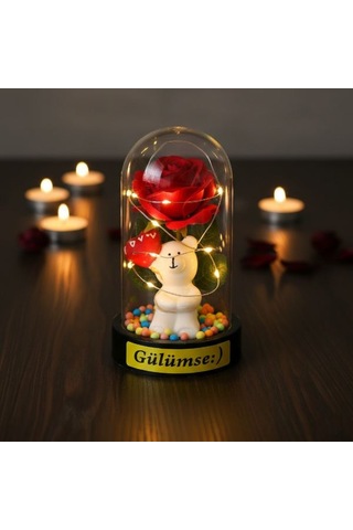 Balonlu Ayıcık Ledli Gül Fanus Dekoratif Masa Lambası Çok Renkli