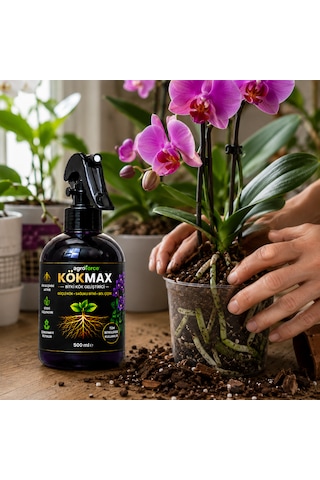 Kökmax Ev Bitkileri İçin Kök Güçlendirici Ve Çiçek Coşturucu Sprey 500 ML