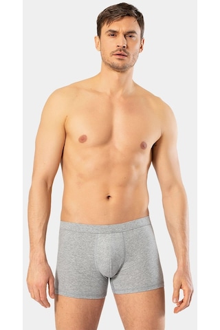 Cacharel Erkek Likralı Boxer 1335/Gri 001