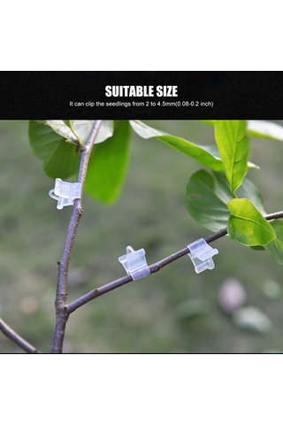 Symbee Bahçe Bitkileri Aşılı Klembi - Reusable Pe Malzeme - 2-4.5mm Fıtö Sağlar - Şeffaf Görünüm - Domates Salatalık Fidanı İçin - 100 Adet/paket