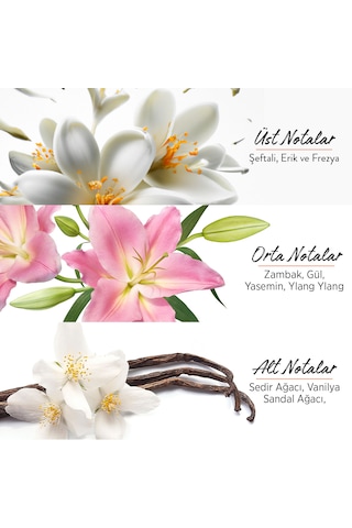 Privacy Limited Edition Kadın Parfüm EDT 50 ML