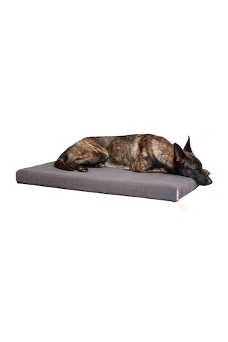 Arya Serisi Ortopedik Premium Kedi Ve Köpek Yatağı 80x60 Cm
