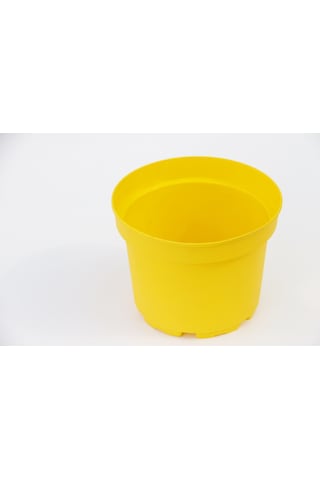 Sarı Limon Saksısı 5 Adet ( 1.5 Litre )