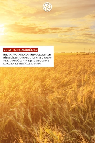 Yulaf Ve Karabuğday Kokulu Nemlendirici Besleyici Rahatlatıcı Vücut Losyonu 390 Ml