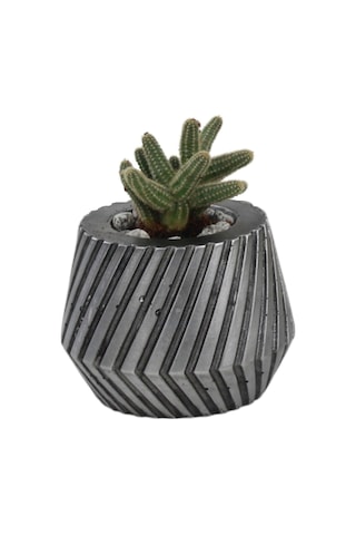 Saksı Çiçek Kaktüs Saksısı Lüx 13 Cm Mekanik Dişli Desen Saksı Çiçeklik - Gümüş Eskitme