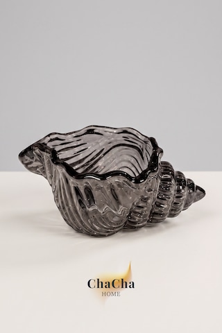 Maris Dekoratif Cam Deniz Kabuğu Lokumluk & Sunumluk 11x5 Cm 6 Adet Füme