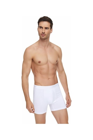 6'Lı Tutku Elit Modal Elastan Boxer 1251