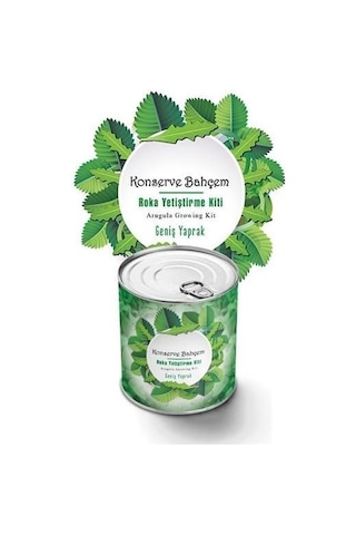 Buffer Konserve Bahçem Evde Konservede İri Yapraklı Roka Yetiştirme Kiti Mavi