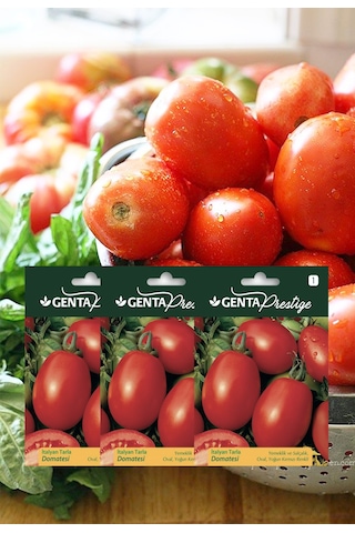 Genta - Yemeklik Ve Salçalık Oval İtalyan Tarla Domatesi Tohumu