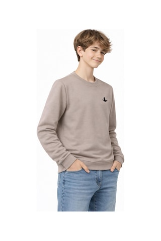 Baglan Erkek Çocuk Sweatshirt Bgl-st05228 Bej