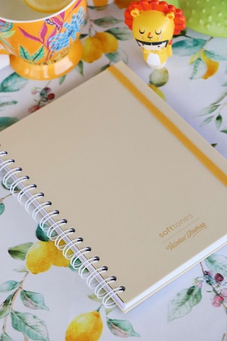 Victoria's Journals Sert Kapak Spiralli Defter 17x24 Cm 90 Gr. 96 Yp. Çizgili Antrasit