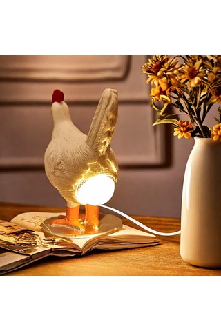 Aurora Reçine Beyaz Döşeme Tavuk Degorasyon Roman Gecıvık Yat Da Ortaev Degorasyon Degorasyon Beyaz