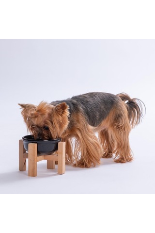 Siyah Ahşap Standlı Seramik Mama/ Su Kabı Kedi Köpek Mama Su Kabı