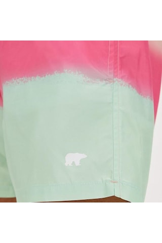 Bad Bear Erkek Şort Mayo Pedro Yeşil