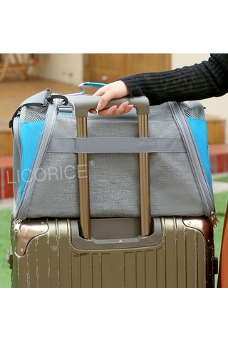 Lıcorıce Büyük Kapasiteli Nefes Alabilen Evcil Hayvan Gezi Çantası