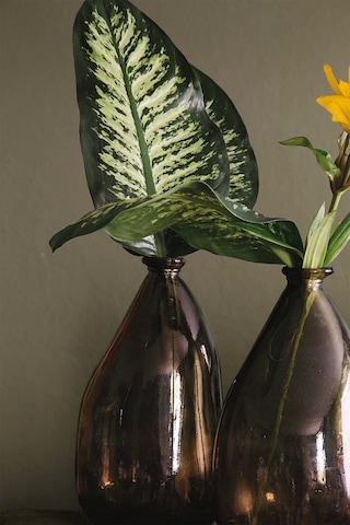 Calitta 210 Tc 83 Tel Dijital Pamuk Saten Nevresim Takımı Tek Kişilik