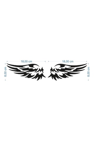 Kanat Oto Sticker Yapıştırma 18X8Cm