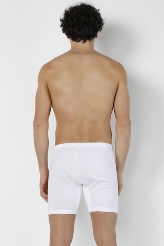 Doremi Erkek Arjantin Boxer 001