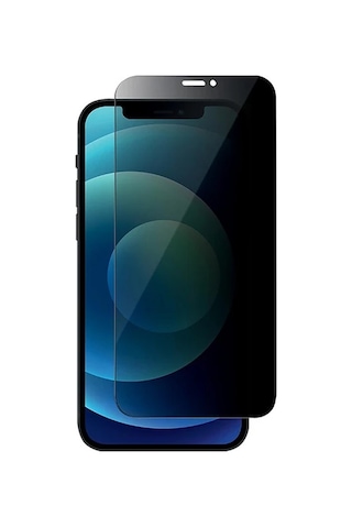 Apple, Uyumlu iPhone 12 Mini Privacy Gizli Hayalet Tempered Cam Ekran Koruyucu- 5775