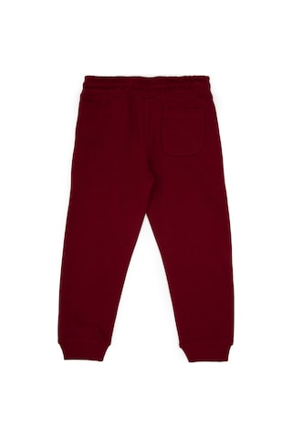 U.s. Polo Assn. Erkek Çocuk Bordo Eşofman Altı 50314026-vr014 Bordo