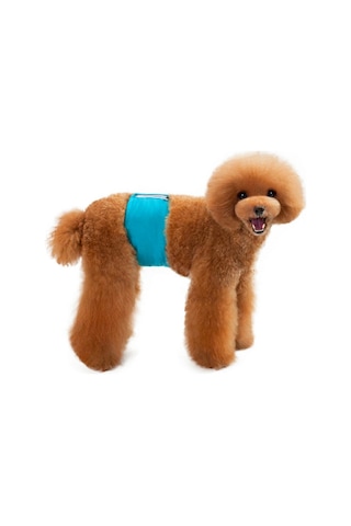 Pet Erkek Köpekler İçin Düz Renk Fizyoloji Pantolon Kibar Ve Taciz Önleyici Köpek Güvenlik Pantolonu, Boyut: Xl Camgöbeği