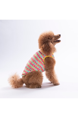 Lemon Party Tişört Kedi Köpek Tişörtü-kedi Köpek Kıyafeti