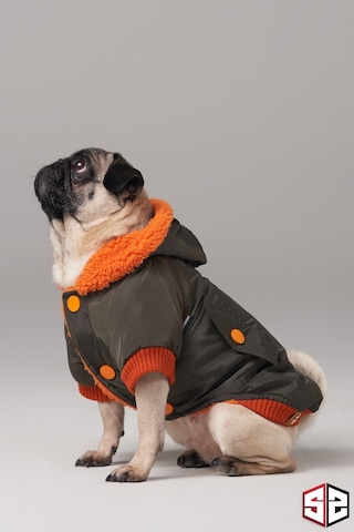 Köpek Kıyafeti - Su Geçirmez Köpek Montu, Köpek Yağmurluğu Haki