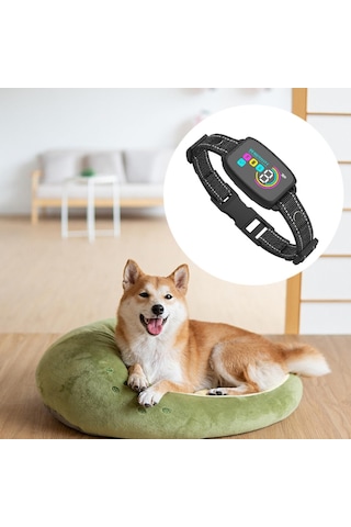 Homyl Yavru Küçük Orta Büyük Köpekler Için Şarj