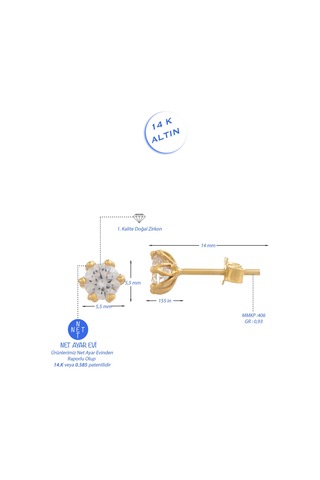 Moom Mücevherat Kadın Tek Taş Küpe 14 Ayar Altın N11.15607
