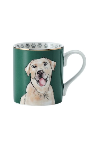 Mikasa Fine China 280 Ml Düz Taraflı Kupa Labrador Yeşil