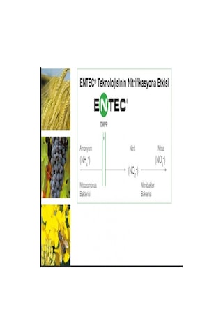 Entec 25 - 15 Yeşil Gübre 1 KG. Yavaş SalınıMLı Gübre. Akıllı Gü