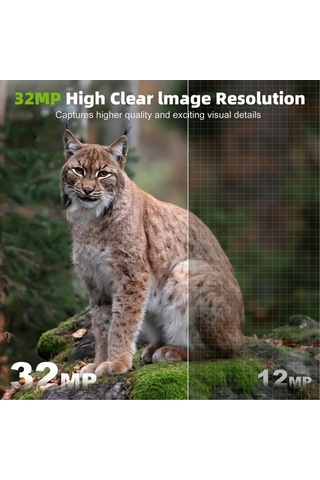 Dancemonkey Kamera Yaban Hayatı 32mp 1080p Kızılötesi Hareketle Etkin Çok Renkli