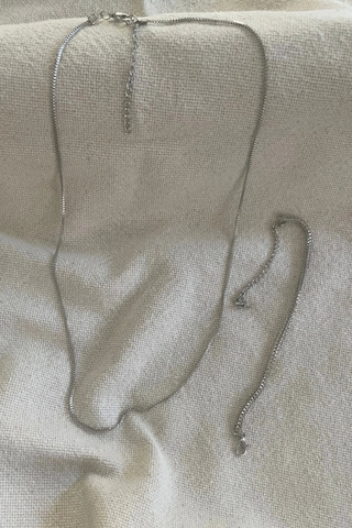 Unisex Tilki Kuyruğu Künye İle Gümüş Kolye Seti Çok Renkli