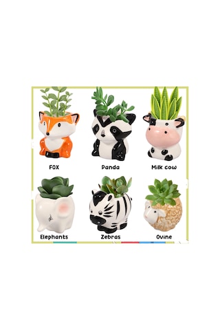 6 Adet Seramik Mini Ekici Sevimli Karikatür Hayvan Etli Tencere