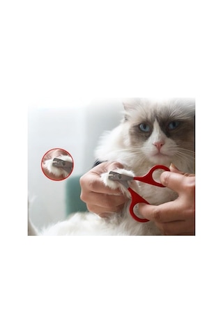 Kedi Tırnak Makası Çelik Ergonomik Tutuş Evcil Hayvan Köpek Tırnak Makası Garantili