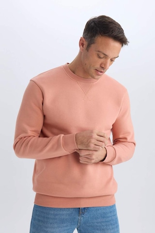DeFacto Regular Fit Bisiklet Yaka Kalın Basic Düz Sweatshirt T3777AZ25SPPN602