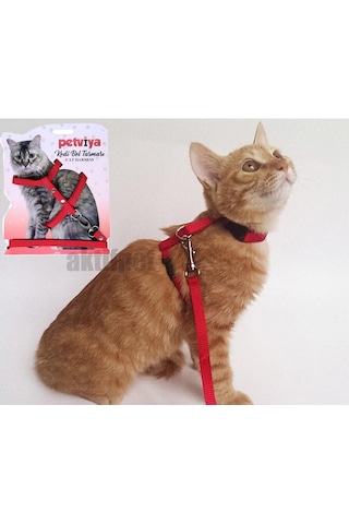 Petviya Ayarlanabilir Kedi Göğüs Bel Tasması Kırmızı