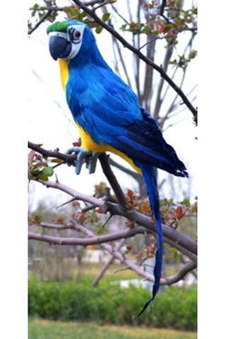 Suntek Yapay Tüylü Kuşlar Heykeli Gerçekçi Bahçe Heykel