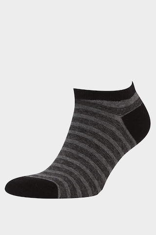 Defacto Erkek 5li Pamuklu Patik Çorap F5283axnskr1 Çok Renkli