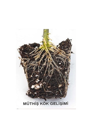 Doğal Köklendirme Tozu Köklendirme Hormonu 2 Grm Gibberell