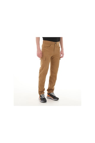 The North Face F0a824c1731-r M Horızon Pant - Eu Erkek Pantolon Kahvrengi
