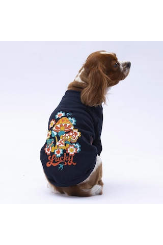 Siyah Chongqing Kedi Köpek Sweat- Kedi Köpek Kıyafeti