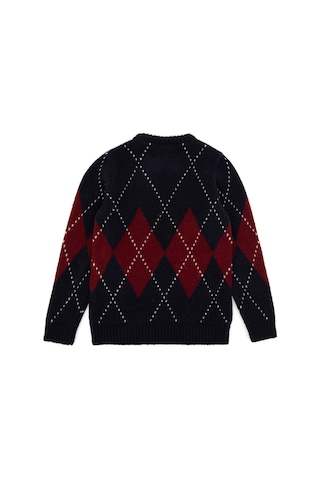 U.S. Polo Assn. Erkek Çocuk Lacivert Bisiklet Yaka Kazak 50295513-VR033
