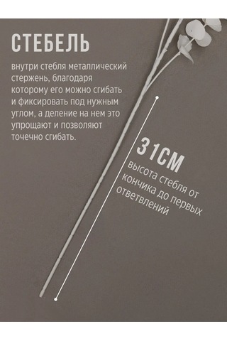 Wisty Yapay Okaliptüs Beyaz, Dekorasyon İçin Dal 80 Cm 348725780 Beyaz