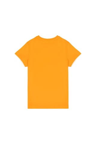 U.S. Polo Assn. Erkek Çocuk Turuncu Basic Bisiklet Yaka Tişört 50279614-VR051