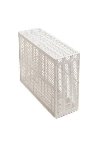 Ana Arı Hapsetme 3 Çerçeveli