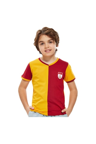 Gsstore Galatasaray Metin Oktay Çocuk T-shirt Ve Şort Set Kırmızı - Sarı