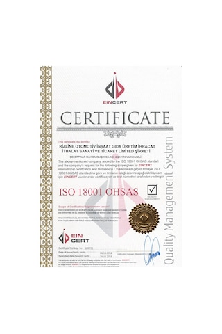 FORD CONNECT 2003 2004 2005 2006 2007 BEJ KREM 3D HAVUZLU PAPAS